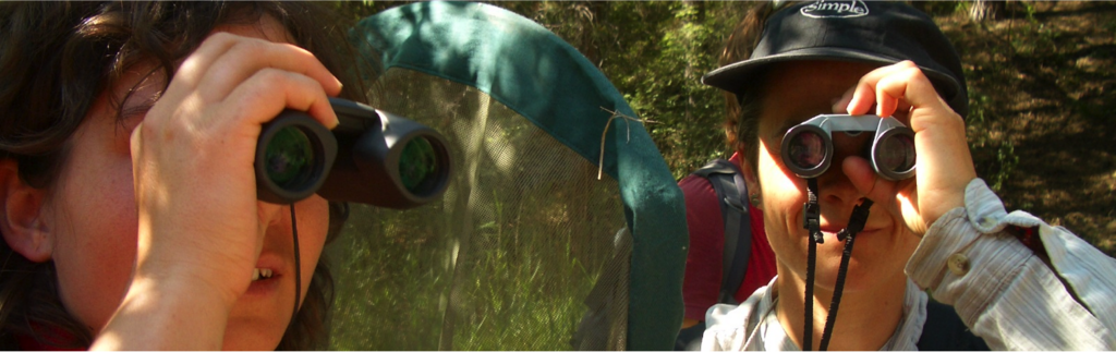 Umweltbildung für Gemeinden, Firmen oder Schulen Wir unterstützen und Beraten Sie gerne im Bereich Schulung und Weiterbildung in den Bereichen : Umwelt, Abfall, Entsorgung,Wiederverwertung,Mehrweg,Recycling,Flora,Fauna,Pflanzen